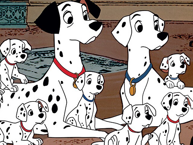 101 dalmations