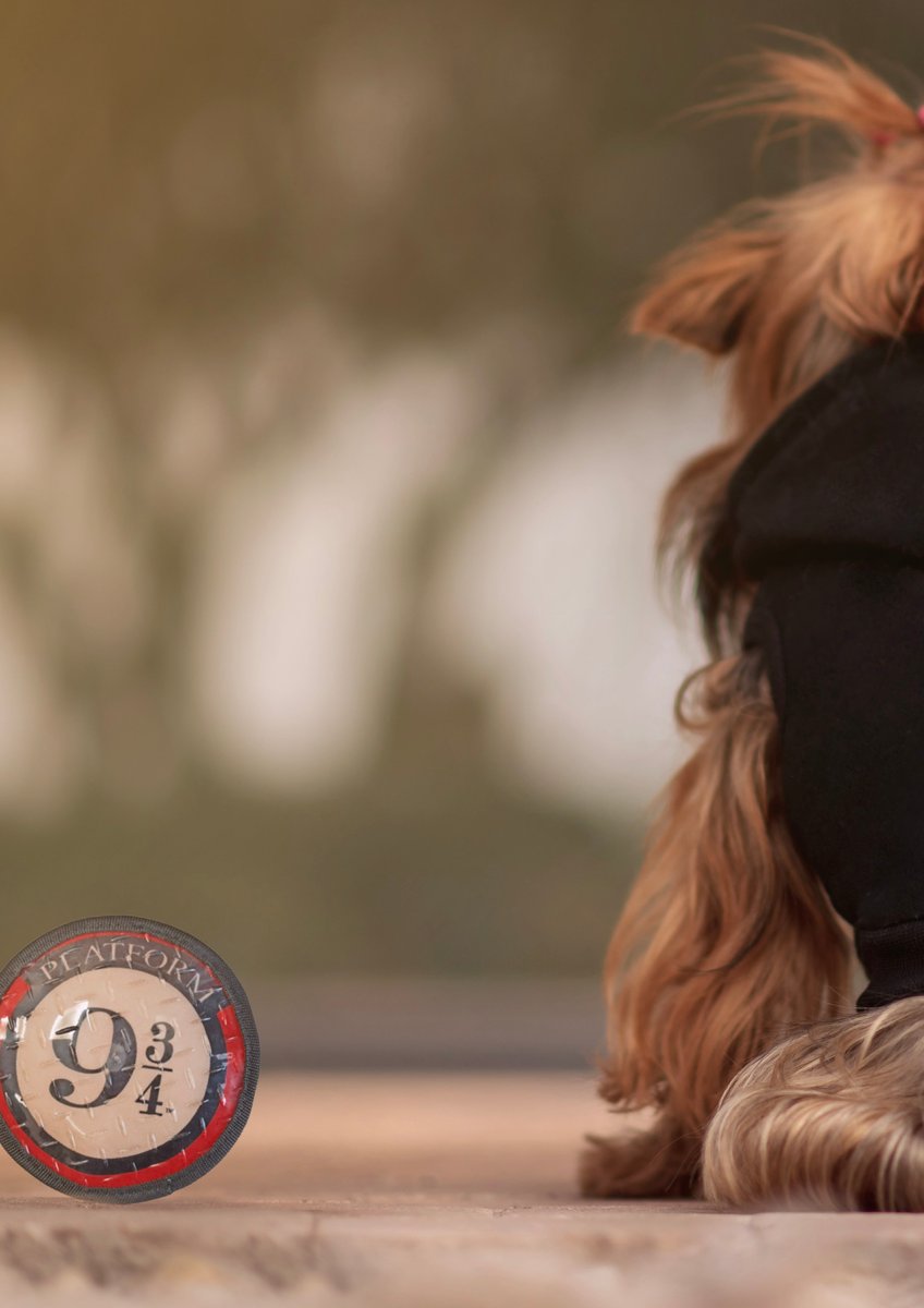 Banner Vertical.005