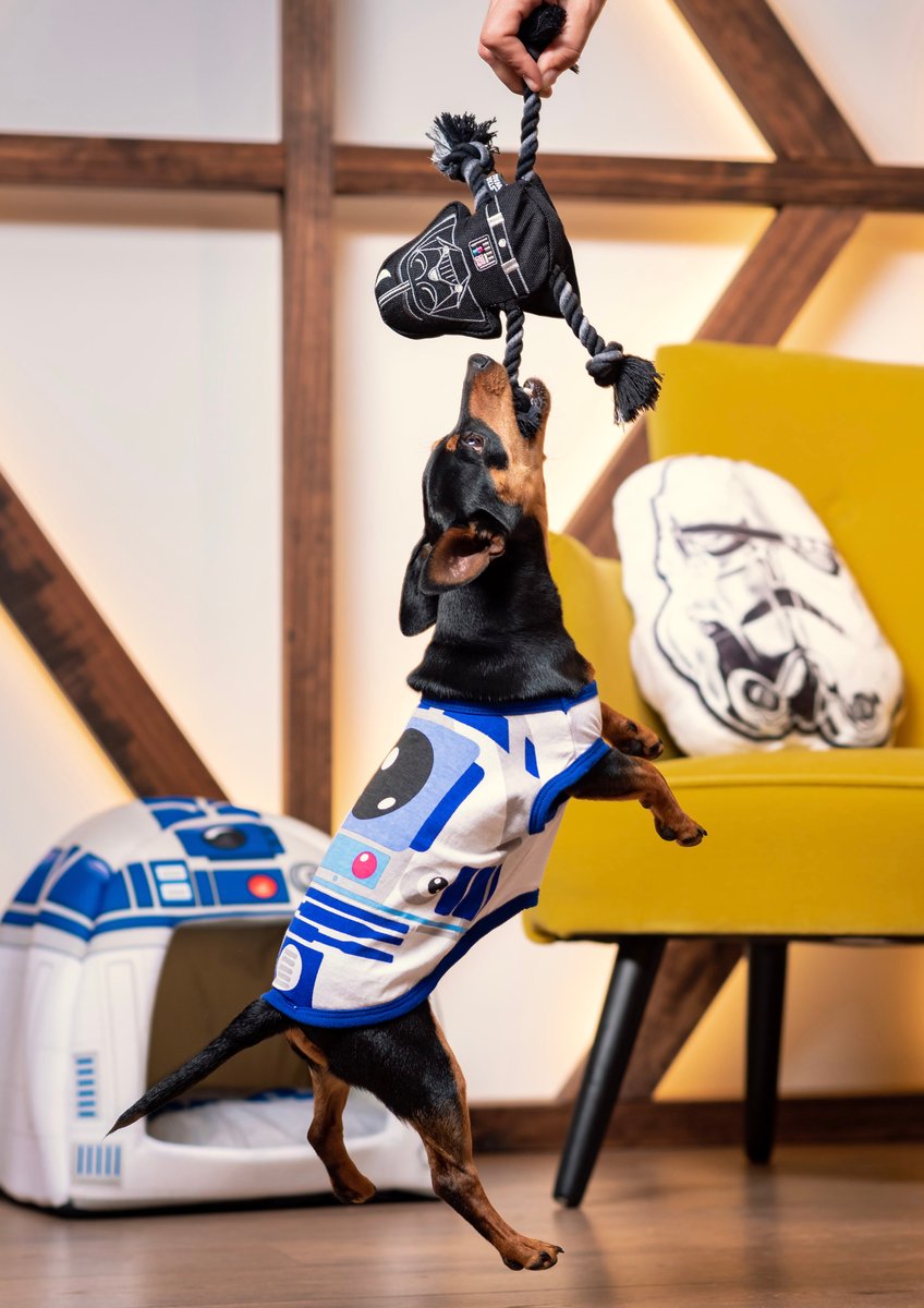 Banner Vertical.010